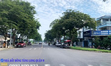 Cổng chính Đông Tăng Long